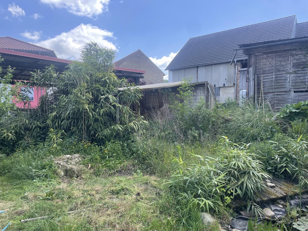 Überfordert mit zugewuchertem Garten