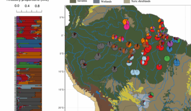 Local adaptation has a role in reducing vulnerability to climate change in a widespread Amazonian forest lizard