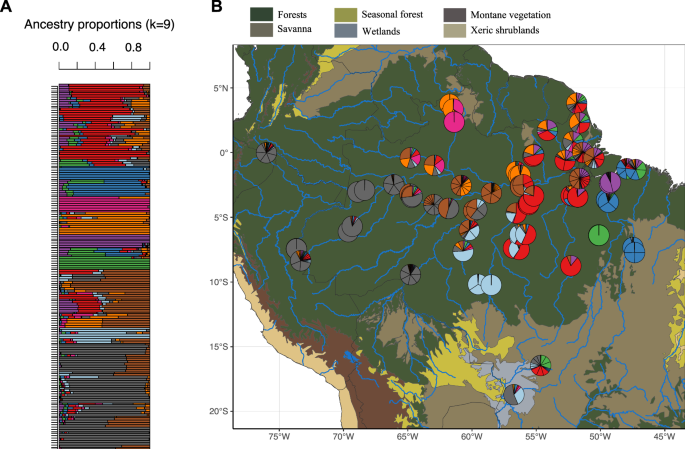 Local adaptation has a role in reducing vulnerability to climate change in a widespread Amazonian forest lizard