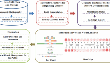 A visualization system for intelligent diagnosis and statistical analysis of oral diseases based on panoramic radiography