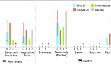 Sponge-based environmental DNA detection as a useful tool in monitoring Mycobacterium tuberculosis complex markers in European bison (Bison bonasus)