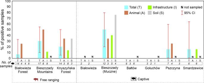 Sponge-based environmental DNA detection as a useful tool in monitoring Mycobacterium tuberculosis complex markers in European bison (Bison bonasus)