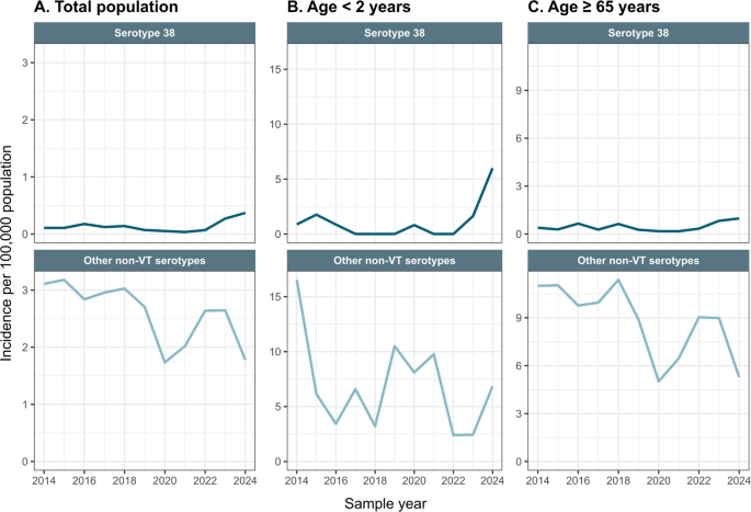 Increasing incidence of serotype 38 invasive pneumococcal disease driven by the ST393 clone among children, Denmark 2022–2024