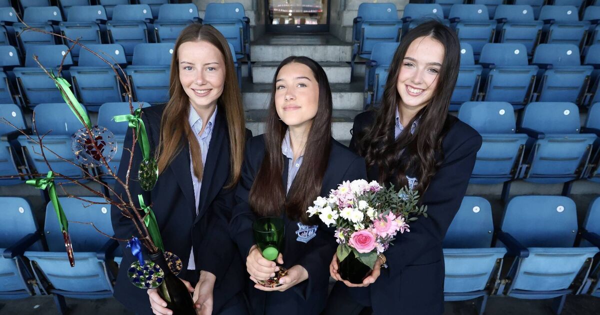 Two Cork schools among finalists at youth entrepreneur awards 