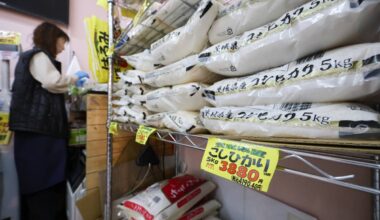 Why are rice prices still high in Japan?