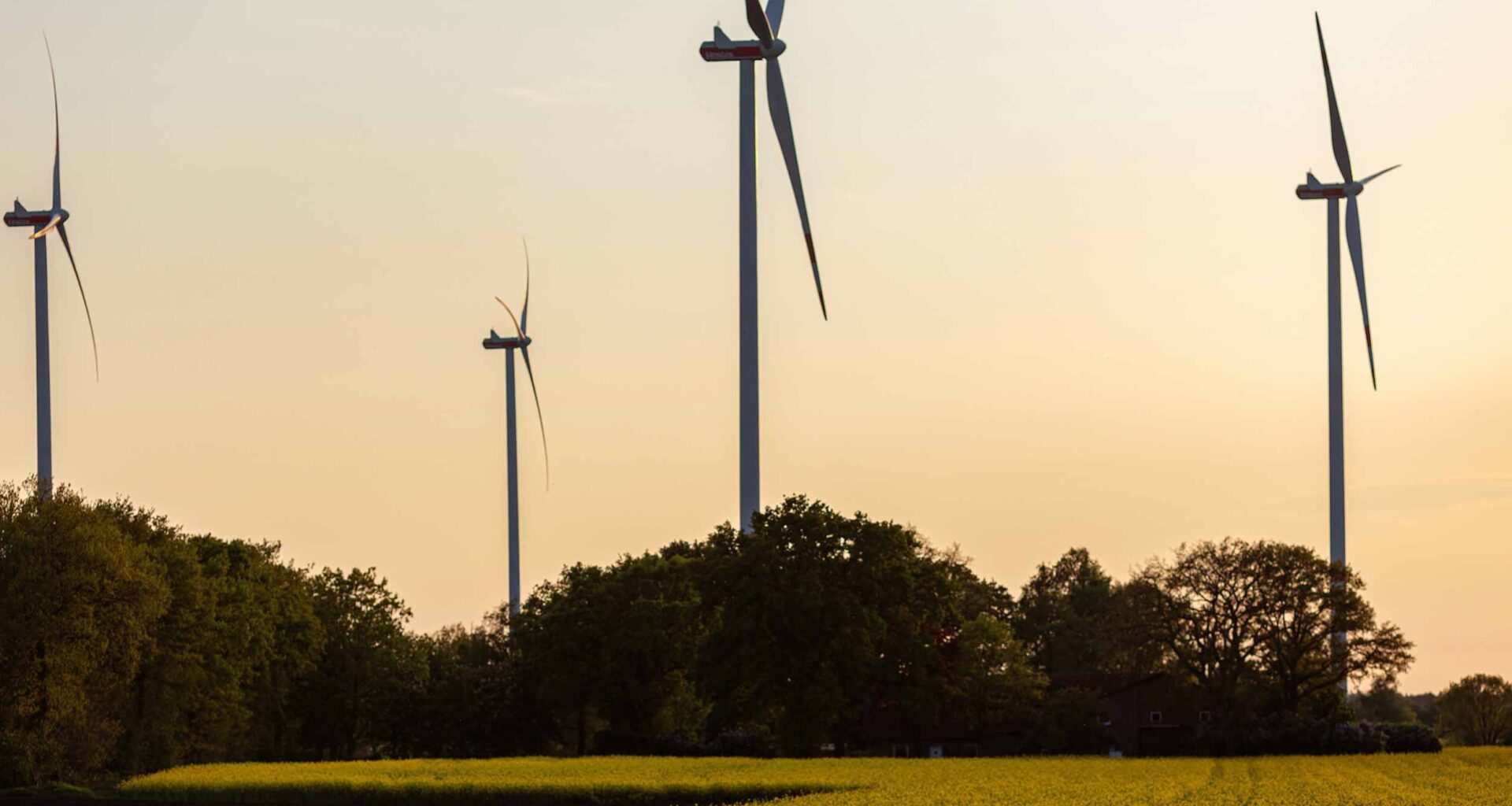 EU’s green transition needs more than promises