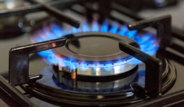 Japan to subsidize home energy bills through summer amid U.S. tariff impact