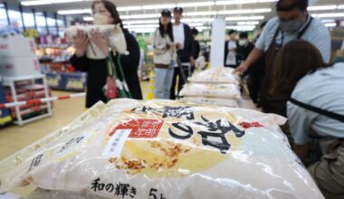 41% of Japanese rice farmers expect price drop in 2026