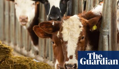 Watchdog urges Scotland to take action after repeatedly missing climate targets | Green politics