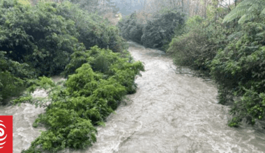 Teens rescued after one swept away crossing river in Tararua Forest Park