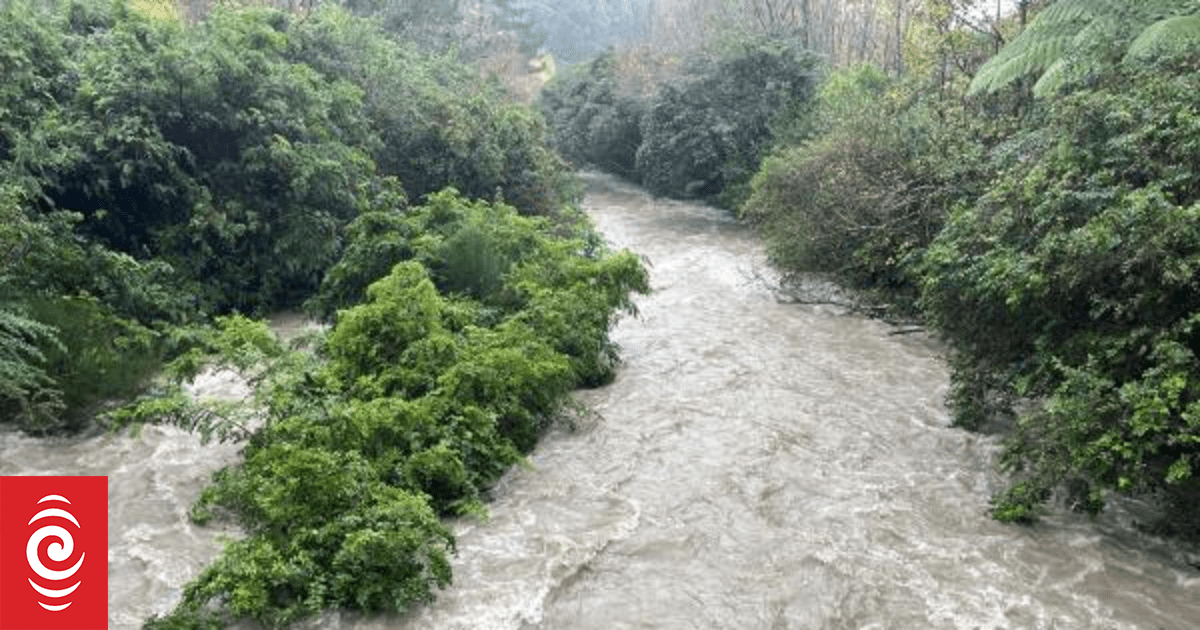 Teens rescued after one swept away crossing river in Tararua Forest Park