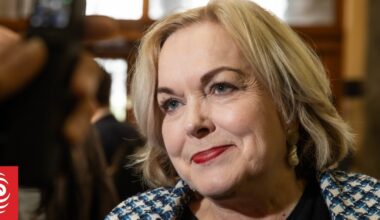Minister Judith Collins says no allies have put pressure on government to up defence spending