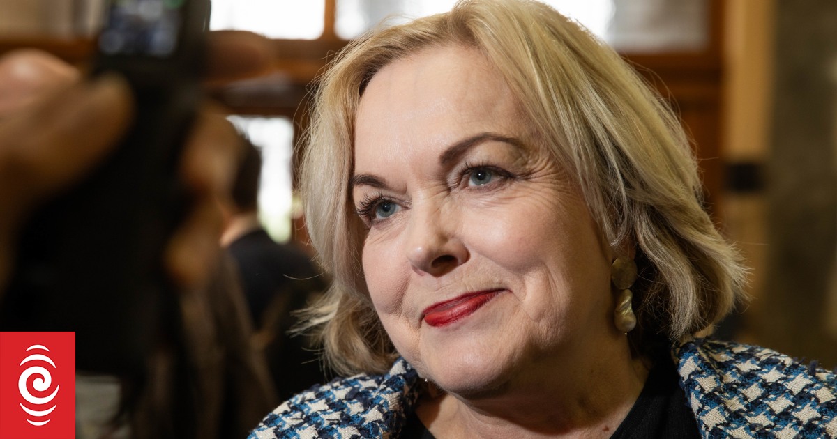 Minister Judith Collins says no allies have put pressure on government to up defence spending