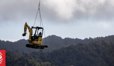 NZ wildlife and construction projects at centre of urgent Wildlife Act changes