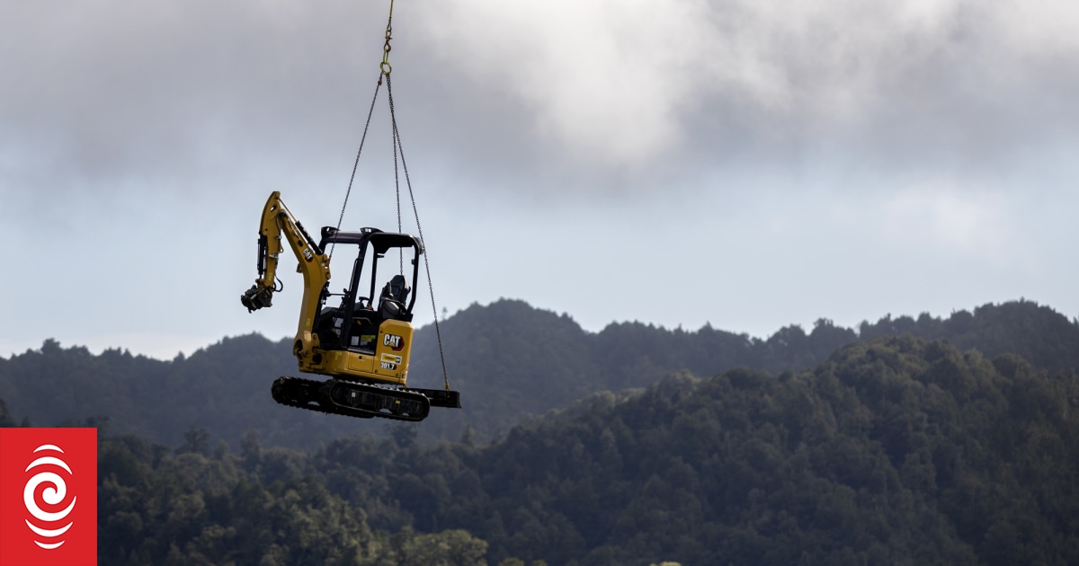 NZ wildlife and construction projects at centre of urgent Wildlife Act changes