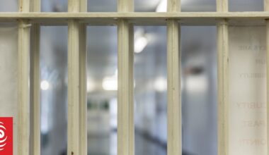 Removing prisoners' voting rights backward step, says Labour, Greens
