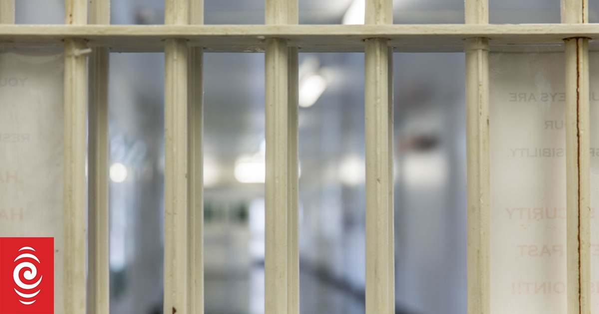 Removing prisoners' voting rights backward step, says Labour, Greens