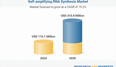 Custom Synthesis Services to Experience Fastest Growth in RNA Market, Driven by Personalized Medicine Demand