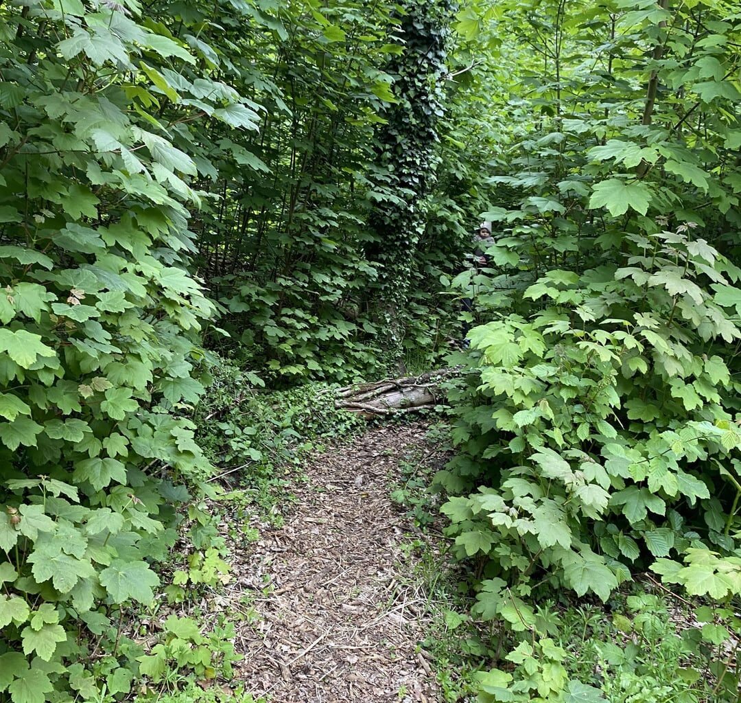 Machen oder nicht machen?