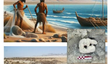 Archaeologists uncover prehistoric fishing evidence in southeast Iran