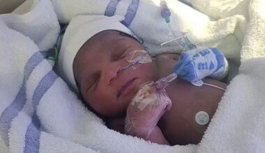 Hunt for mother who abandoned three babies in London narrows to 400 homes as police say a fourth youngster may soon be found