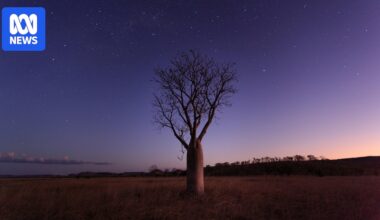 The Eta Aquariid meteor shower is about to peak. Here's how to catch it from Australia