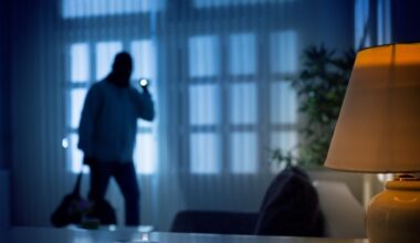 RTL Infos - Plusieurs personnes arrêtées: De nombreux vols et cambriolages signalés au Luxembourg