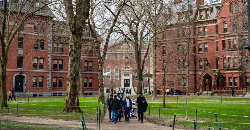 Pour l'heure, Harvard peut encore inscrire des étudiants et chercheurs internationaux. Une audience est prévue jeudi.