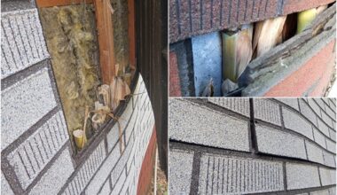 “Nekad nestādiet Latvijā bambusus! Nekad! Nemaz nemēģiniet sākt!” soctīkli atklāj nepatīkamu, dārgu un spēcīgu patiesību