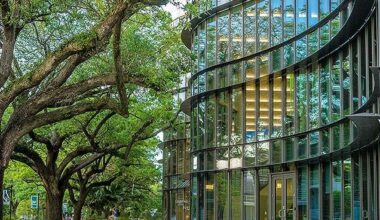 Tulane venture fund invests in New Orleans education startup | Business News
