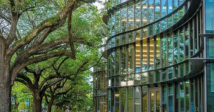 Tulane venture fund invests in New Orleans education startup | Business News