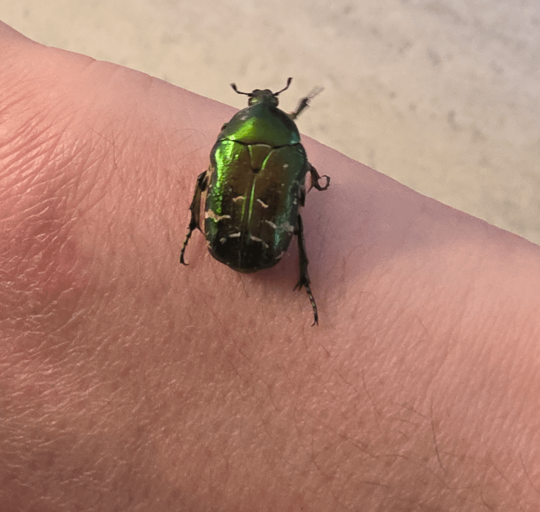 Rosiger Besuch heute im Büro.