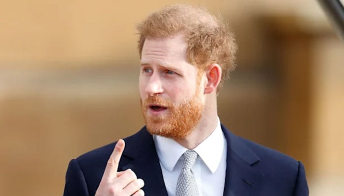Royal expert offers support to the Firm after Prince Harry’s ‘car crash’