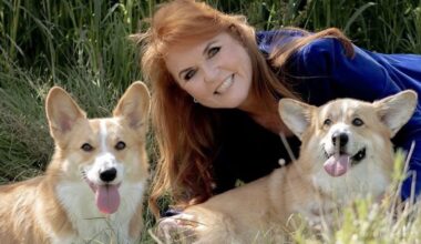 Sarah Ferguson says she is 'sure' the late Queen Elizabeth is talking to her through her corgis