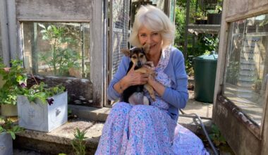 Queen Camilla introduces new family member ahead of sweet event | Royal | News