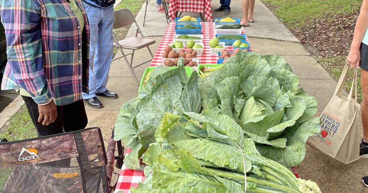 Demopolis Farmers Market to open June 7 | News