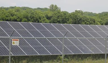 Trump budget puts clean-energy spending in crosshairs | News