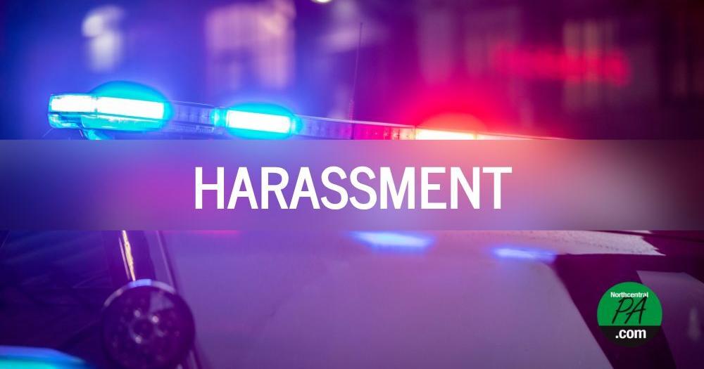 Shunk woman tells police she needs to talk to JD Vance during arrest | News