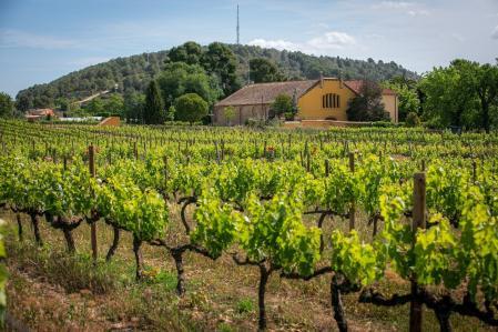 Mas La Plana en Pacs del Penedès (Barcelona)