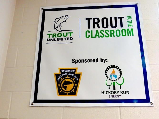 Trout in the classroom poster