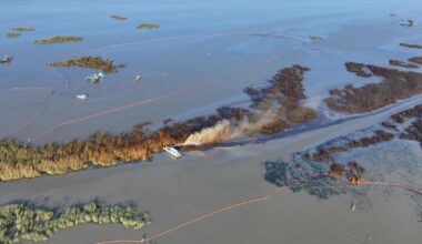 Well that spewed oil into Louisiana marsh to be shut | Business News