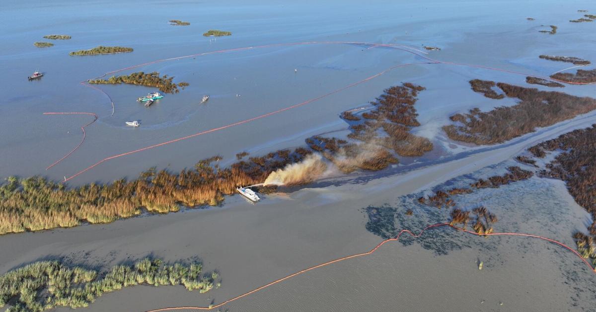 Well that spewed oil into Louisiana marsh to be shut | Business News