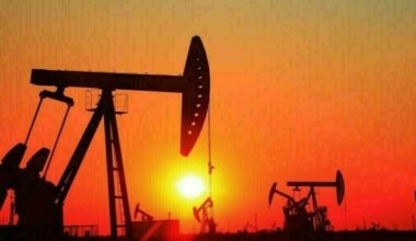 China April crude oil imports up - Markets
