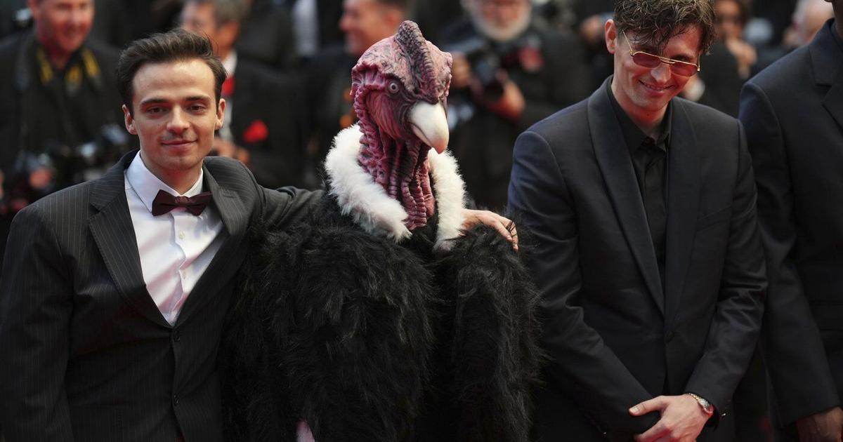 Bird man on red carpet leaves Cannes squawking | Entertainment News