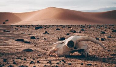 Report warns thousands of species threatened by climate change | National