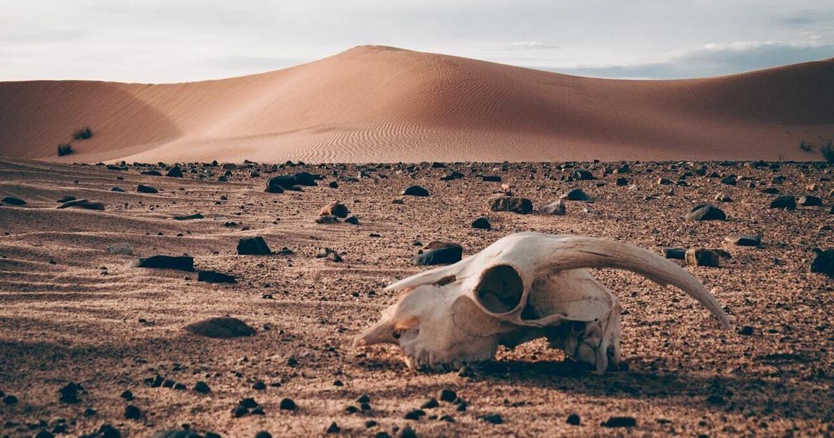 Report warns thousands of species threatened by climate change | National