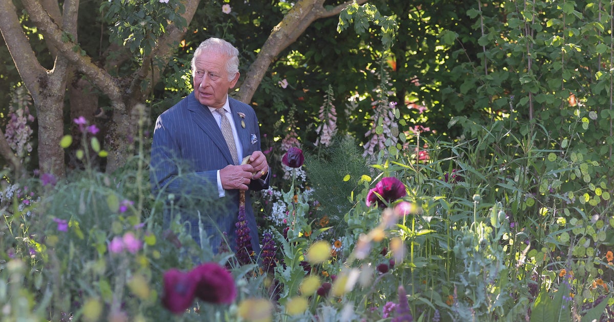 'King Charles Walking' Could Help To Fix Your Posture