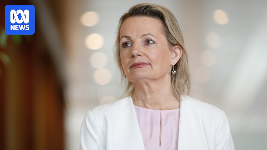 Federal politics live: Sussan Ley says she is putting herself forward to be Liberal party leader