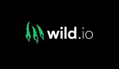 Wild.io Picked as the Top Crypto Casino in Canada