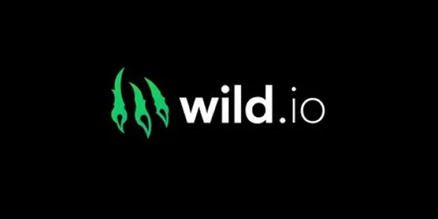 Wild.io Picked as the Top Crypto Casino in Canada